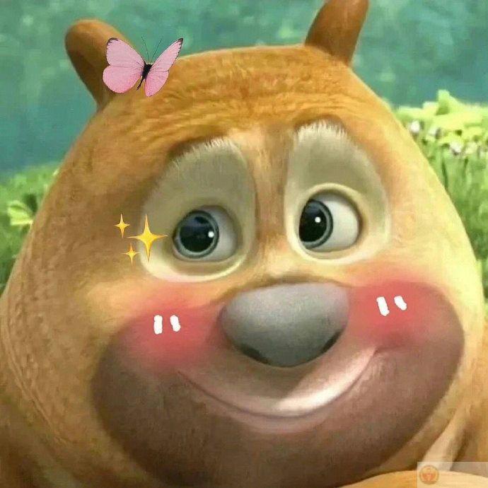 Cảnh quay đẹp đến mức quên nội dung luôn