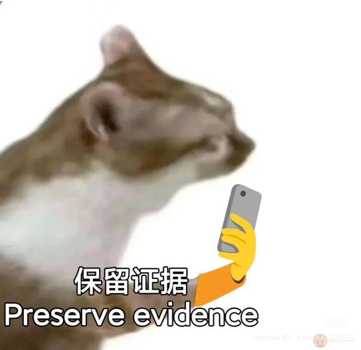 Chỉ cần nhạc nền lên là chuẩn bị ngược