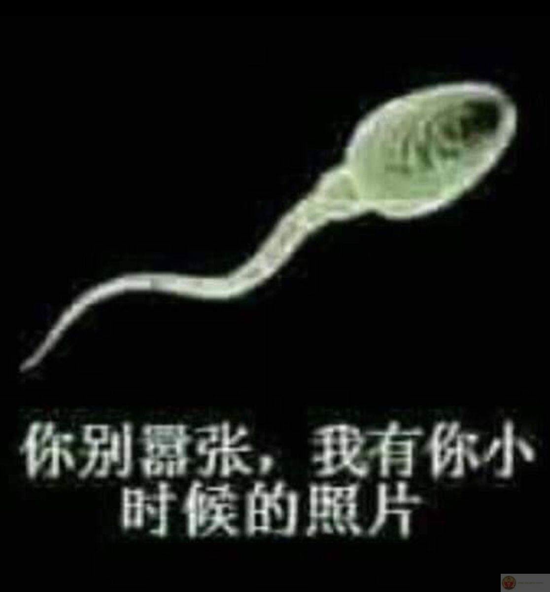 Cảnh quay hoành tráng, mà thoại thì sến lạ thường