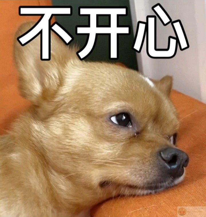 Cảnh quay này không đau, chỉ là tim không chịu nổi