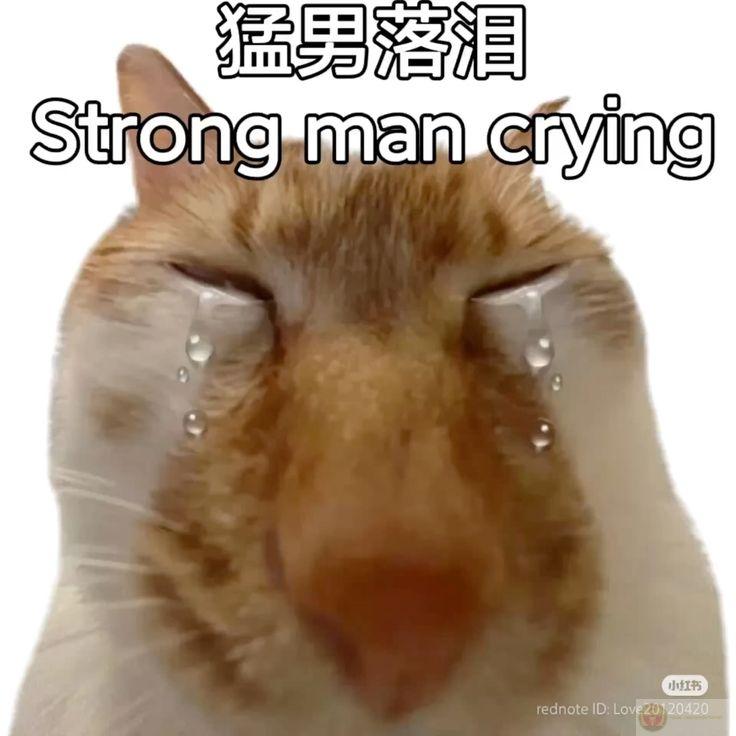 Diễn một hồi mà tui tưởng đang ở tuồng cổ