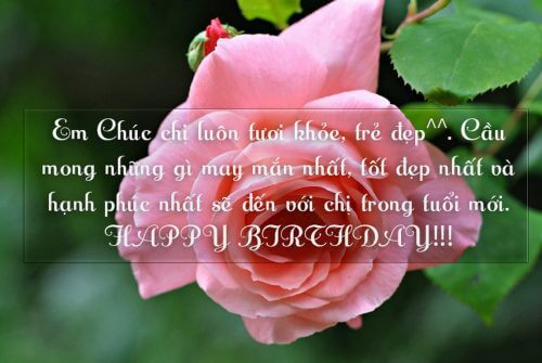 hình ảnh chúc mừng sinh nhật chị gái