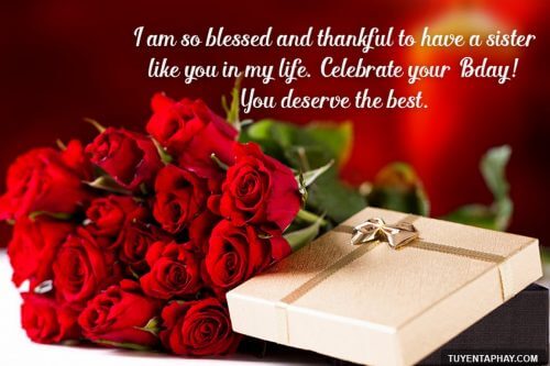 hình ảnh chúc mừng sinh nhật chị gái