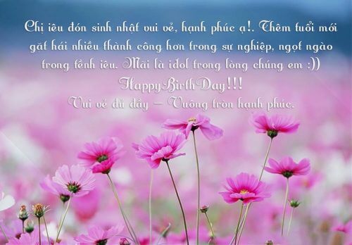 hình ảnh chúc mừng sinh nhật chị gái