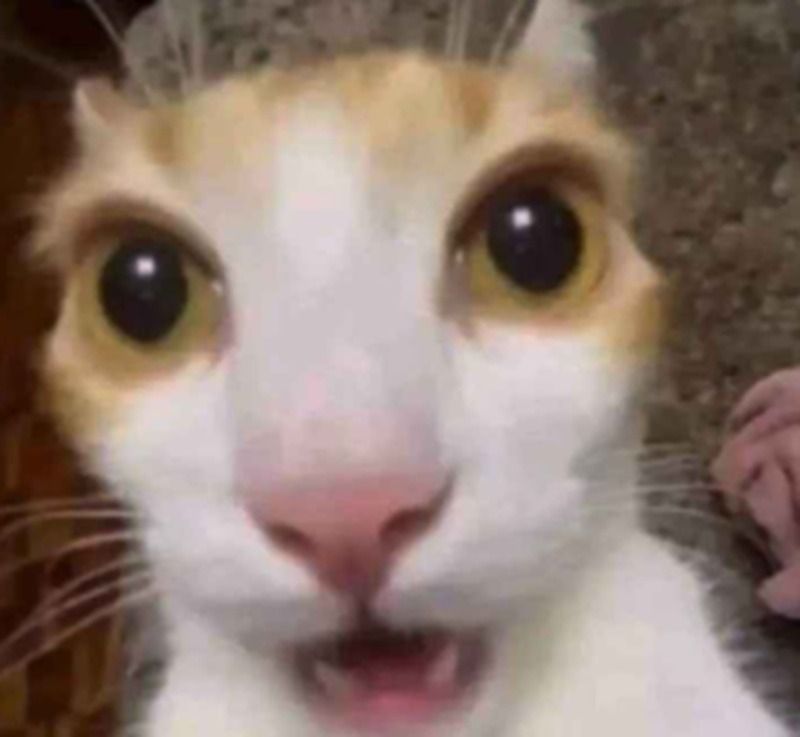 Ý nghĩa của meme sợ hãi