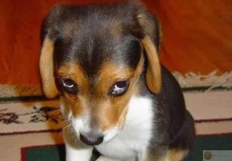 Dỗi là kỹ năng tự vệ không ai dạy