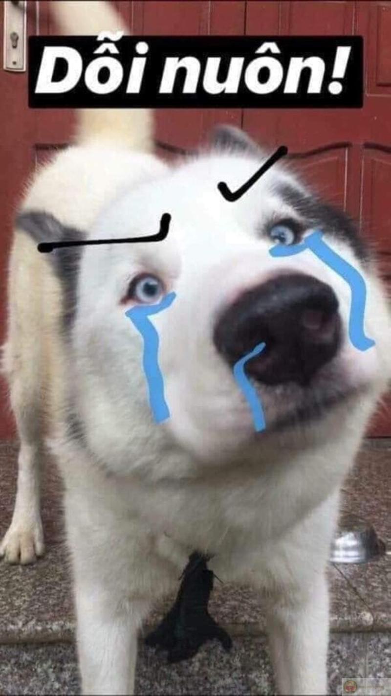 Dỗi một phát là im luôn ba ngày