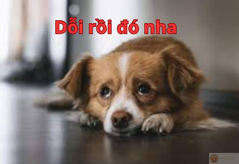 Không sao đâu, chỉ hơi tổn thương thôi