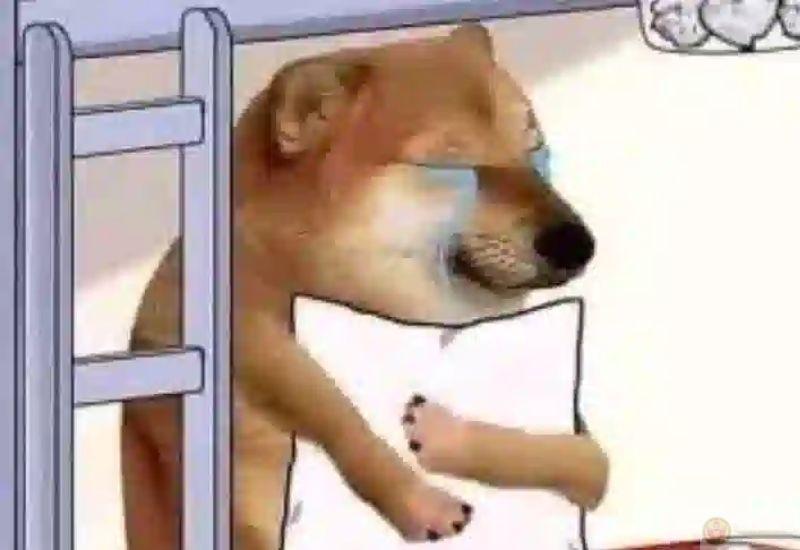 Nói nhiều không ai hiểu, nên dỗi cho lẹ