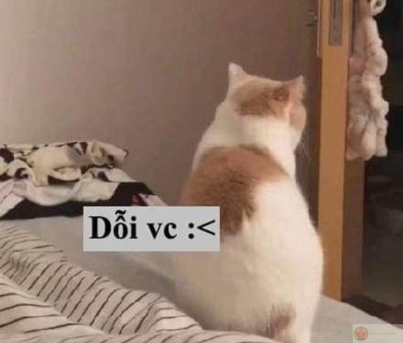 Meme dỗi người yêu