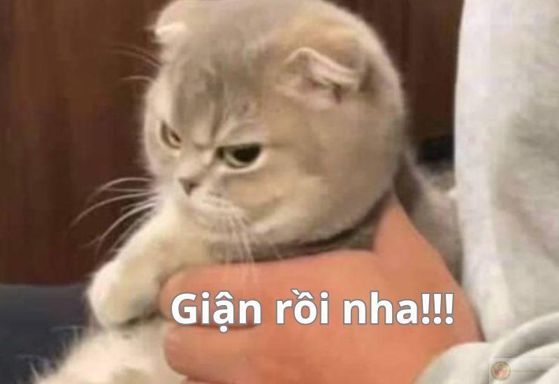 Meme giận dỗi