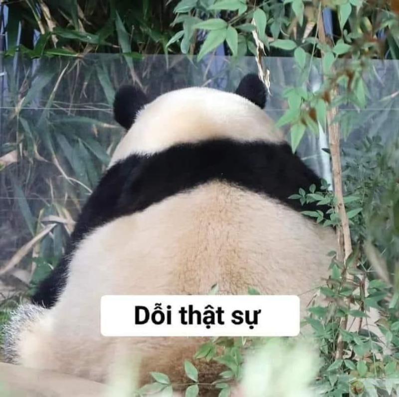 Dỗi xong đọc lại tin nhắn cũ rồi tự cười