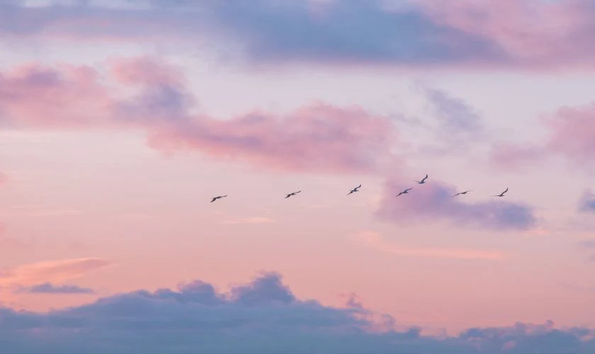 Wallpaper chill bầu trời