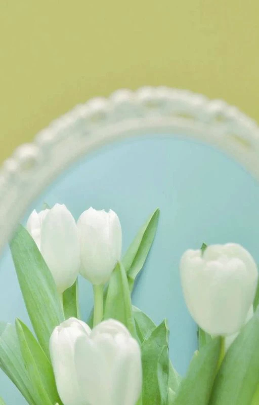 Wallpaper chill hoa đẹp