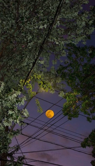 hình nền chill buổi đêm