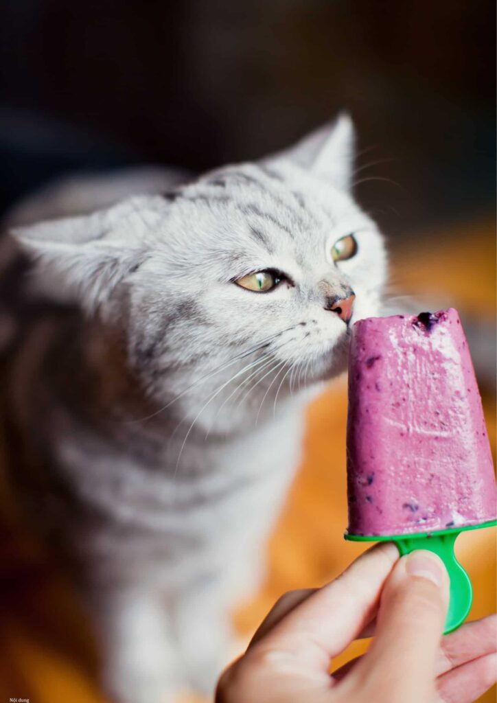 mèo ăn kem