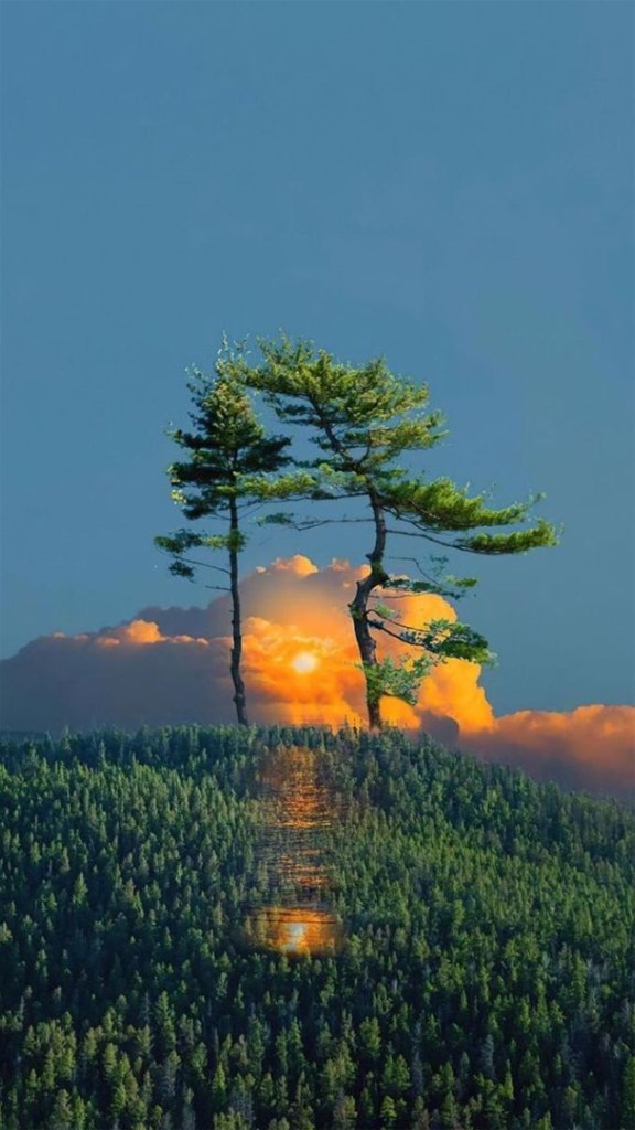 Hình nền điện thoại về thiên nhiên