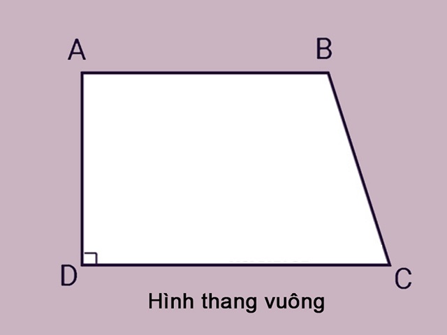 Hình thang vuông là gì? Hướng dẫn cách tính diện tích, chu vi chi tiết
