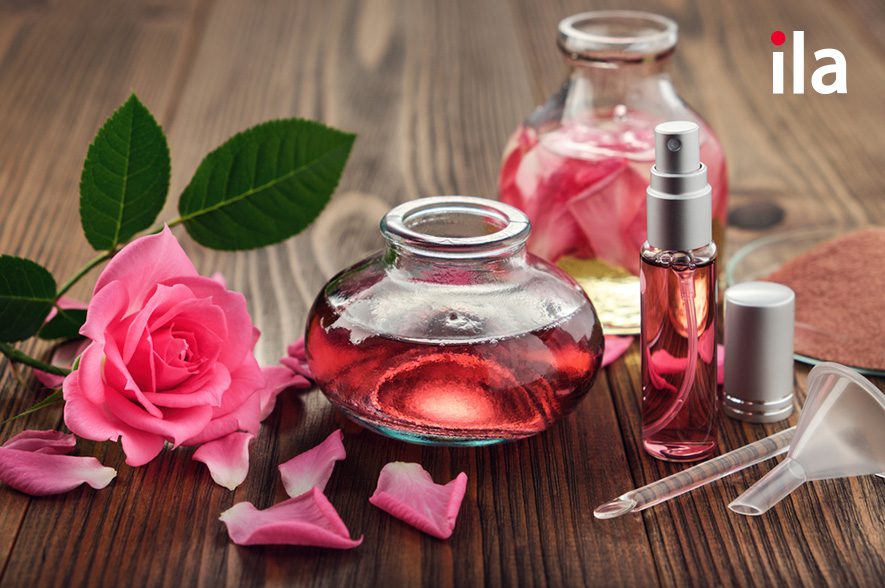 Từ vựng về bộ phận các loài hoa tiếng Anh là gì?