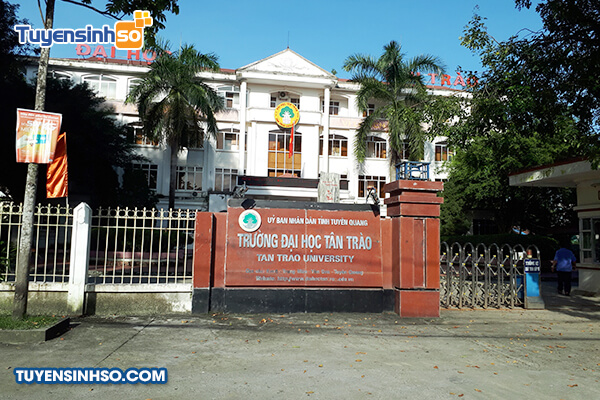 Đại học Tân Trào
