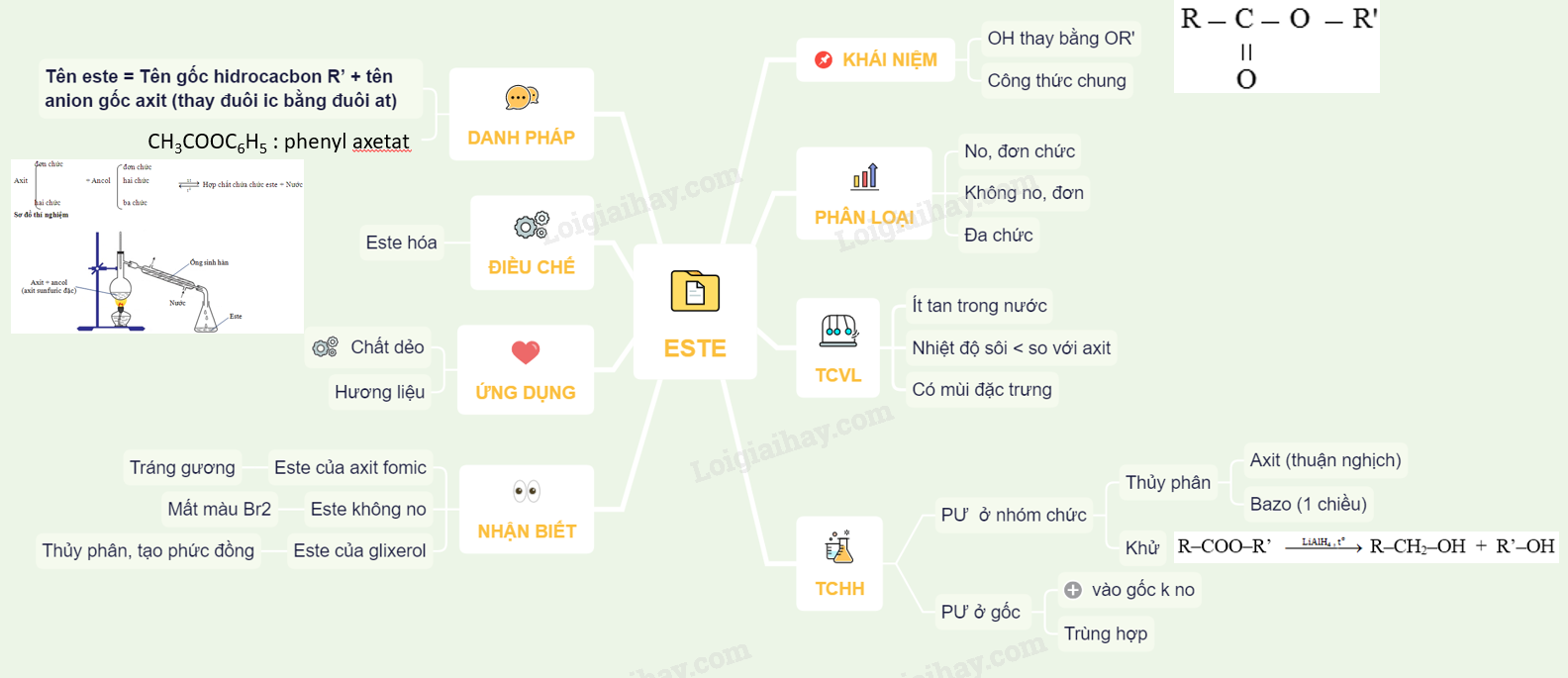 Lý thuyết về este</>