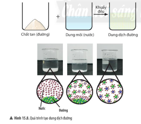 Chất tinh khiết - Hỗn hợp KHTN 6 Chân trời sáng tạo</>