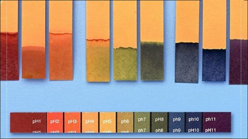 Bo dung cu thi nghiem hoa hoc su dung HCl va giay quy tim de kiem tra pH