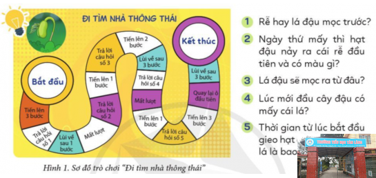 Bài tập Tin học lớp 3  Bài 1: Máy tính giúp em quan sát hạt đậu nảy mầm - Cánh diều
