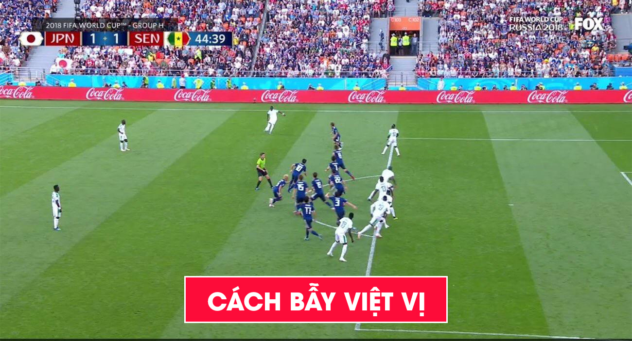 cach bay viet vi