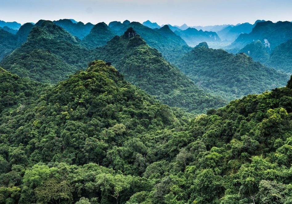 things to do in cat ba island