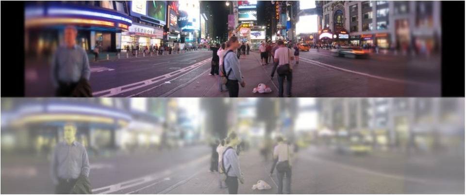 Thế giới trong mắt những chú mèo - 4