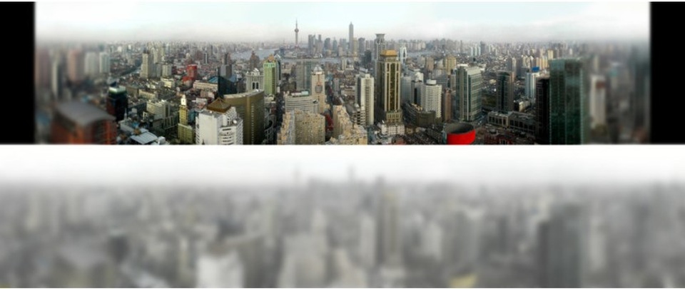 Thế giới trong mắt những chú mèo - 6