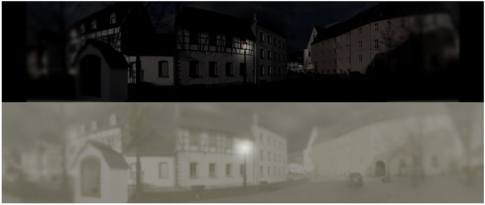 Thế giới trong mắt những chú mèo - 7