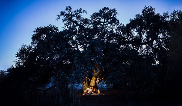 Trường hợp cần tới nhiều Megapixel