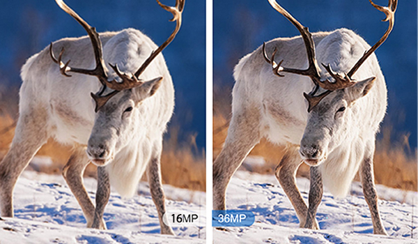 So sánh độ phân giải 16MP và 36MP
