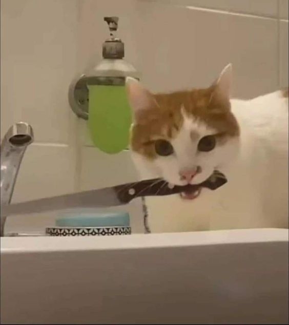 Nhắn tin với ai mà cười dữ vậy hả?