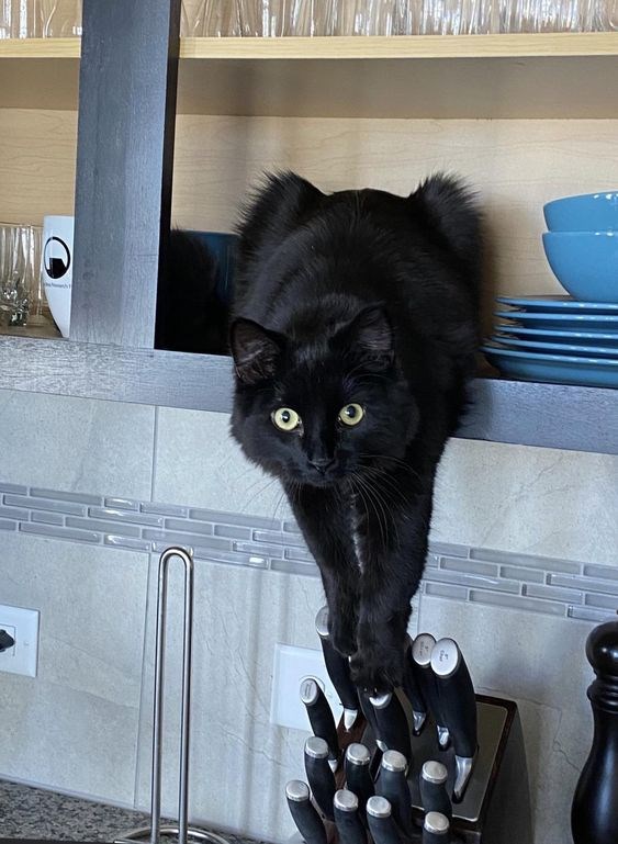 Tui hiền như cục bông, trừ khi thấy tin nhắn