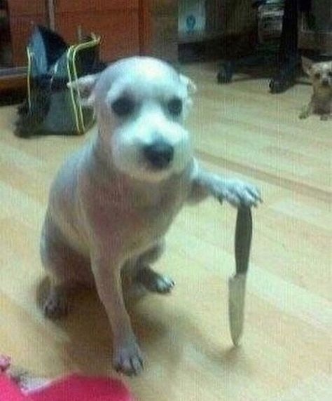 Tui không hăm dọa, chỉ đang cảnh báo bằng hình ảnh