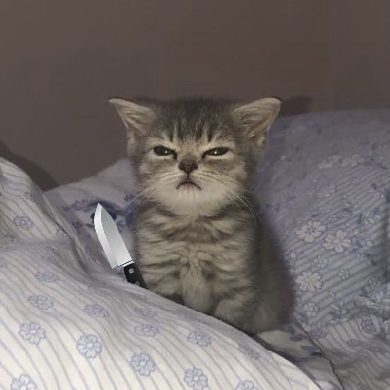 Tui thề sẽ hiền lại, sau cú đâm đầu tiên