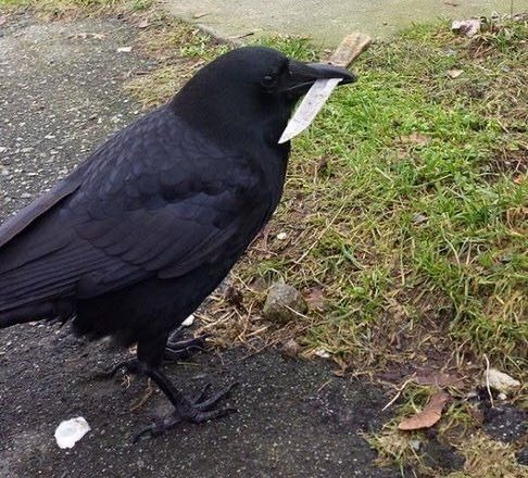 Bạn thân ơi, nói dối thêm lần nữa đi