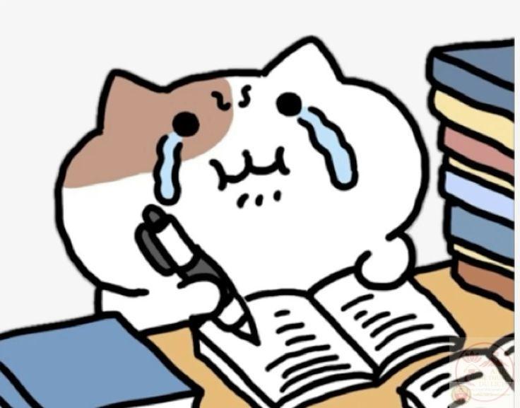 Một biểu cảm hài hước khiến cảnh dí deadline trở thành chuyện vui vẻ