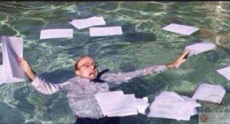 Một ảnh chế deadline quen thuộc làm sống lại ký ức học nhóm căng thẳng