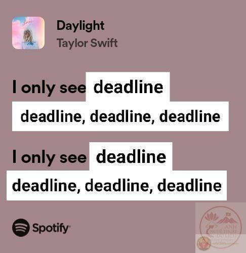 Một nụ cười nhỏ từ ảnh chế deadline cũng đủ làm bớt căng thẳng