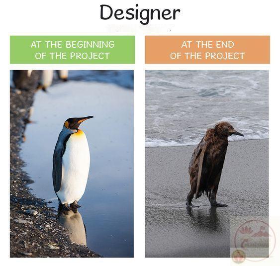 Designer meme khiến cộng đồng mạng chia sẻ rầm rộ vì quá chân thực