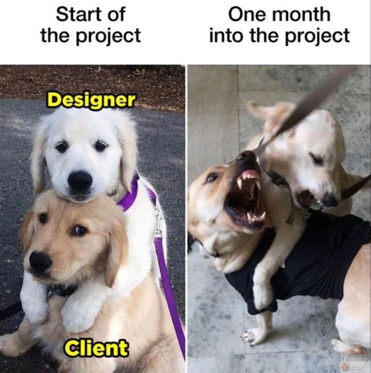 Khi phần mềm crash ngay trước lúc lưu bản thiết kế đã hoàn thiện