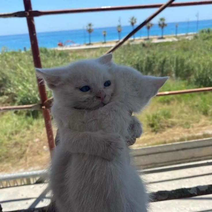 Ngủ trên sách vở như tuyên bố học đủ rồi