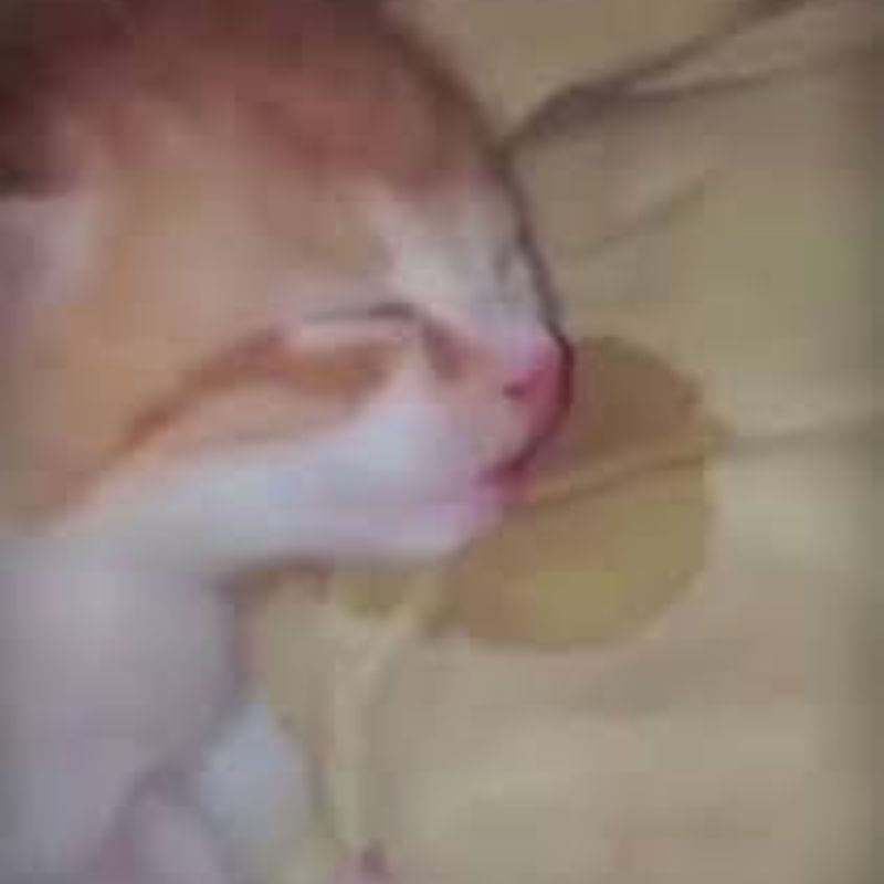 Cứ thấy bọc nilon là tưởng cái giường mới