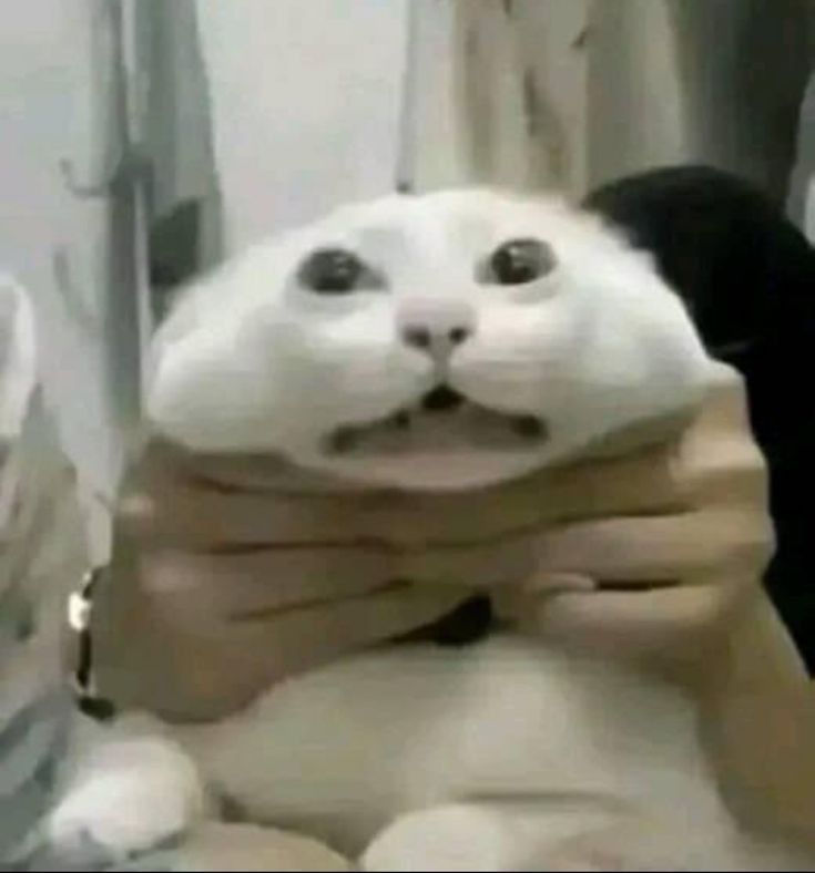 Điều khiển mọi thứ bằng ánh mắt sắc lẹm