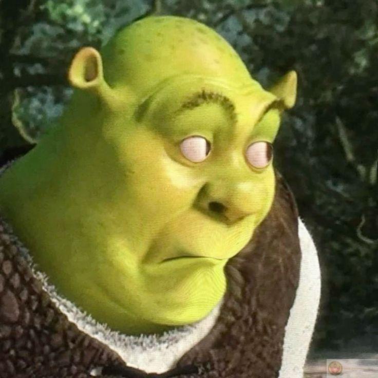 Meme thằn lằn đội quần