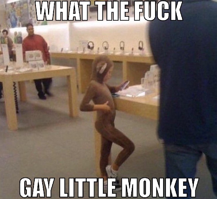 what the f-k gay little monkey meme